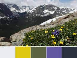 رنگبندی طبیعت-هنرآموز